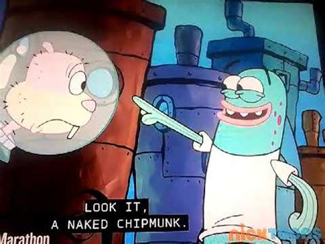 naked sandy from spongebob|Sandy.